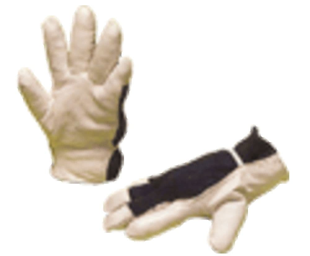 DP CUIR GANTS TROPIC M10 vue 1