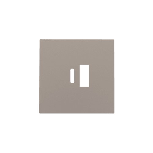 Set de finition pour double chargeur USB-A et USB-C intelligent, couleur bronze coated vue 1