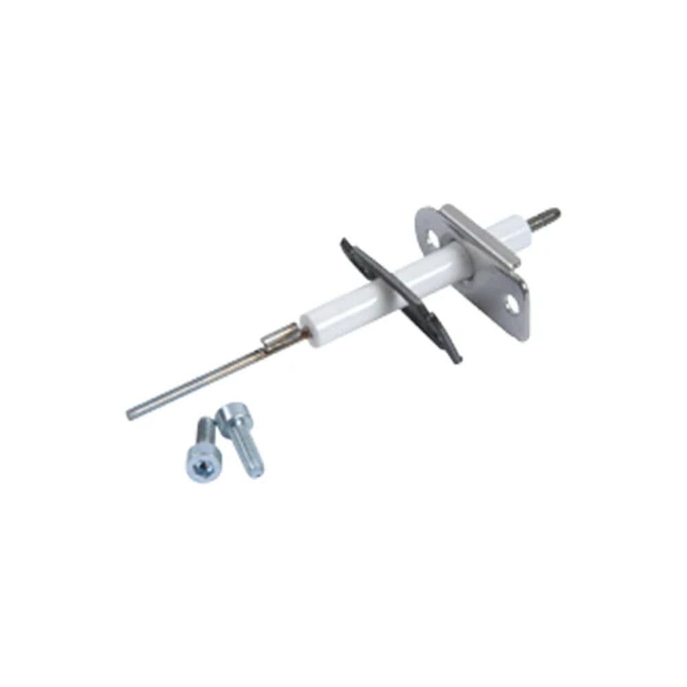 Viessmann electrode ionisation ni-ferral vue 1