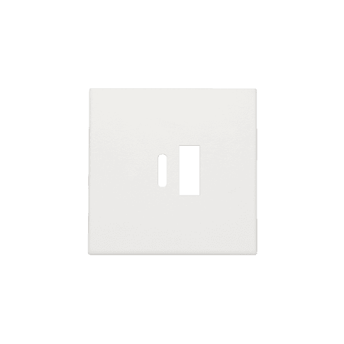 Set de finition pour double chargeur USB-A et USB-C intelligent, couleur white vue 1