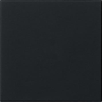 Module rapporté de commande System 3000 Noir mat (laqué) vue 1