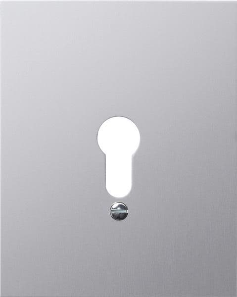 Cache métallique 125 x 100mm Gris Sans symboleAluminium - cache de recouvrement de l'interrupteur à vue 1