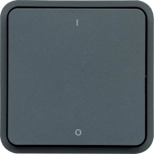 Interrupteur bipolaire Cubyko, Gris, 10AX - 250V, quickconnect vue 1