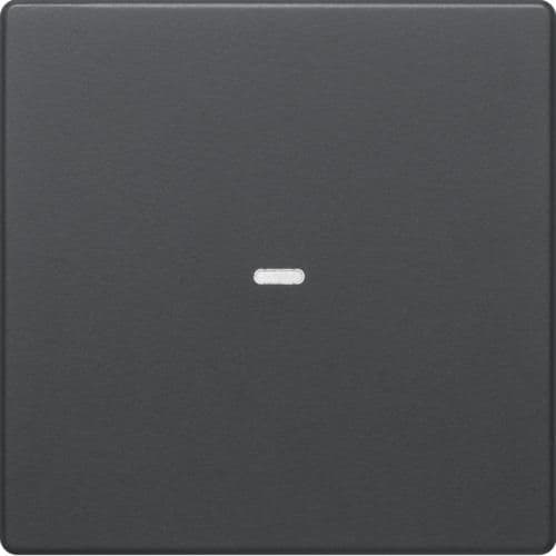 Touche simple Berker monobloc Q.1 / Q.3 Anthracite Velours laqué vue 1