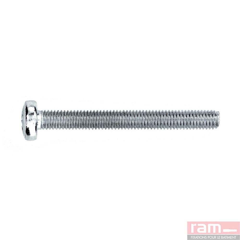 Ram vis pour Ramfix acier zingué 5x65 100pièces vue 1