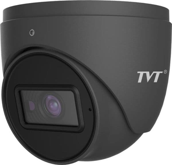 Dome D / N Eyeball WP IP, 2MP / 25IPS, H265, 2.8mm, DNR, PoE, IR20M, IP66 vue 1