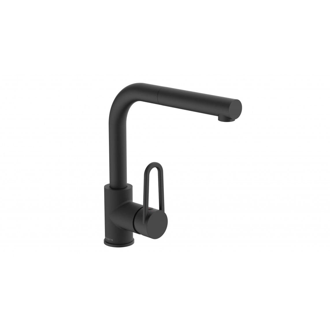 26239 DESIGN RING Mitigeur évier, noir mat, avec douchette à rincer extractible vue 1