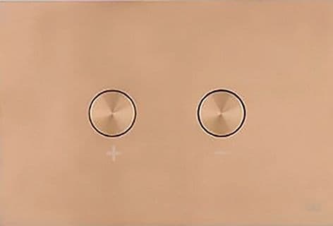 PLAQUE DE COMMANDE 2 TOUCHES BLINK PNEUMATIQUE CUIVRE vue 1