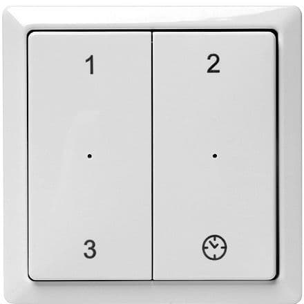 INTERRUPTEUR à 3 POSITIONS+MINUTEUR RFZ SANS FIL vue 1
