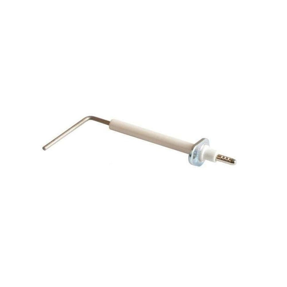 Viessmann electrode ionisation 24kw vue 1