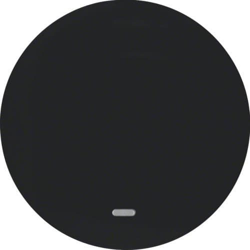 Touche avec voyant transparent Berker R.1 / R.3 Noir, brillant vue 1