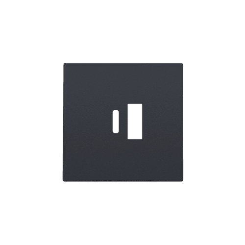 Set de finition pour double chargeur USB-A et USB-C intelligent, couleur anthracite coated vue 1