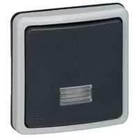 Plexo66 interrupteur 2 d bipolaire IP66 - IK08 - 10A - 230V vue 1