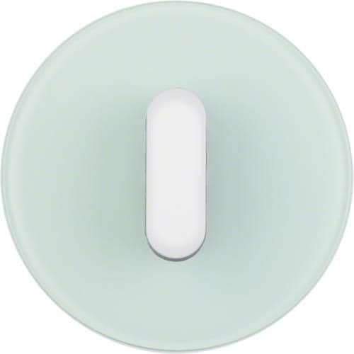 Plaque de recouvrement avec manette pour interrupteur rotatif / poussoir Serie R.classic Verre, Blan vue 1