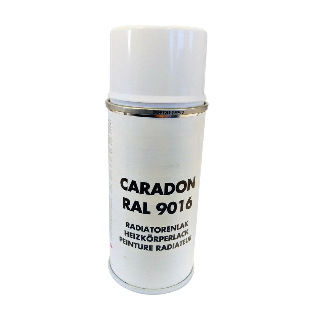 HEN PEINTURE SPRAY vue 1