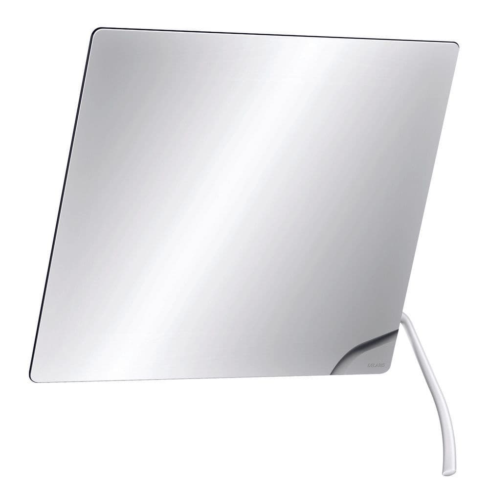 Delabie miroir inclinable avec long manche ergonomique 600x500mm épaisseur 6mm vue 1