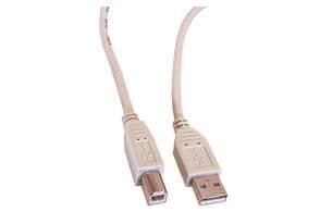Câble - fiche Usb B mâle - fiche Usb A mâle - 1,8m vue 1