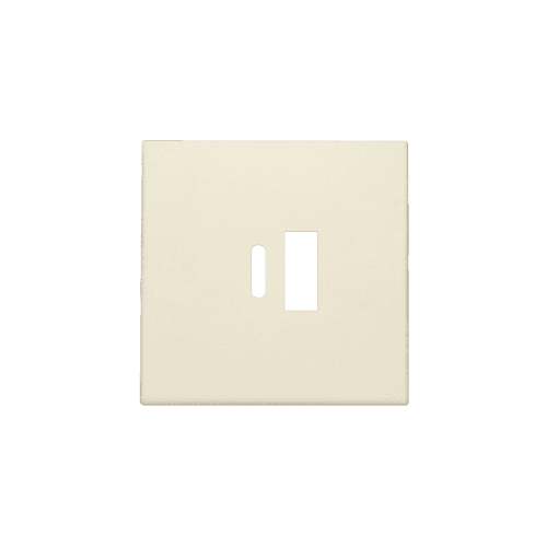 Set de finition pour double chargeur USB-A et USB-C intelligent, couleur cream vue 1