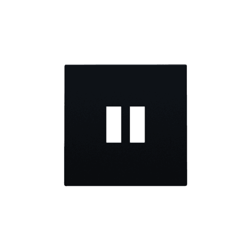 Set de finition pour chargeur double USB-A, couleur black coated vue 1