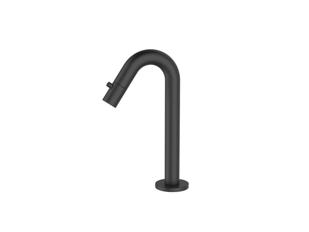 GO Van Marcke Verona robinet d'eau froide noir mat vue 1