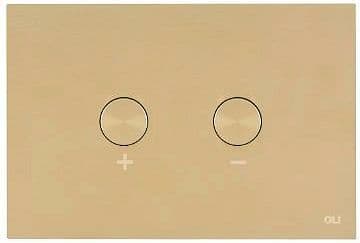 PLAQUE DE COMMANDE 2 TOUCHES BLINK PNEUMATIQUE WHITE GOLD vue 1