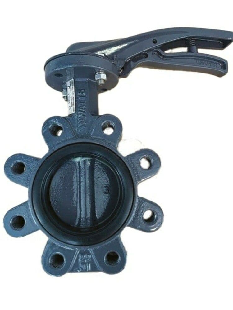 Watts Industries Socla Xylia2 vanne à papillon LUG époxy 80 PN16 vue 1