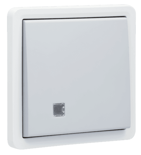 Bouton-poussoir simple éclairable, étanche aux projections d’eau 10 A, avec voyant transparent et un contact N.O. ou N.F, bornes à vis, couleur gris vue 1