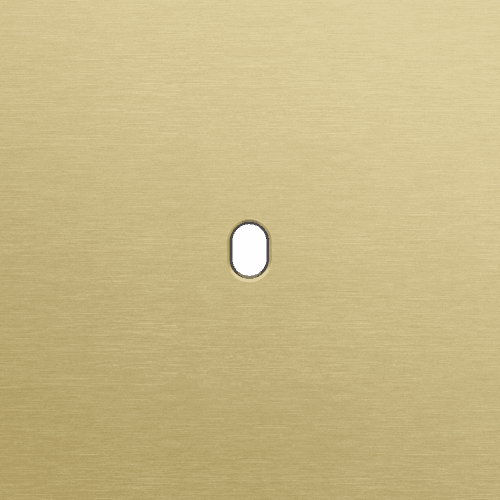 Plaque de recouvrement simple, pour des fonctions de commutation simple, couleur Niko Toggle alu gold brushed vue 1