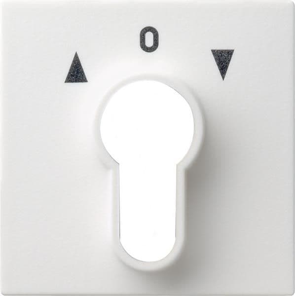Cache pour interrupteur à clé et bouton-poussoir à clé Blanc satiné vue 1