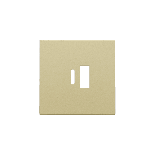 Set de finition pour double chargeur USB-A et USB-C intelligent, couleur gold coated vue 1