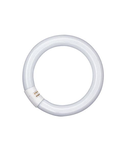 Osram lampe TL L 32W / 840 C ronde lumilux Cool White G10q vue 1