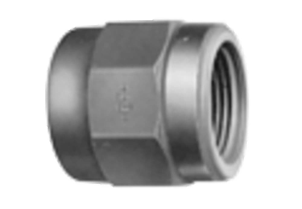 Georg Fischer manchon intermédiaire avec filetage femelle cylindrique D25 x 3/4 F vue 1