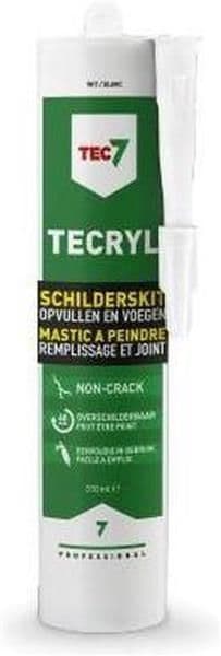 Tecryl Mastic à peindre professionnel vue 1