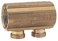 COLLECT.GIACOMINI 3/4"FF+MAMELON 2X18AA vue 1