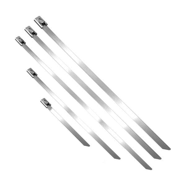 Colliers de serrage en acier inoxydable, 100 pièces vue 1