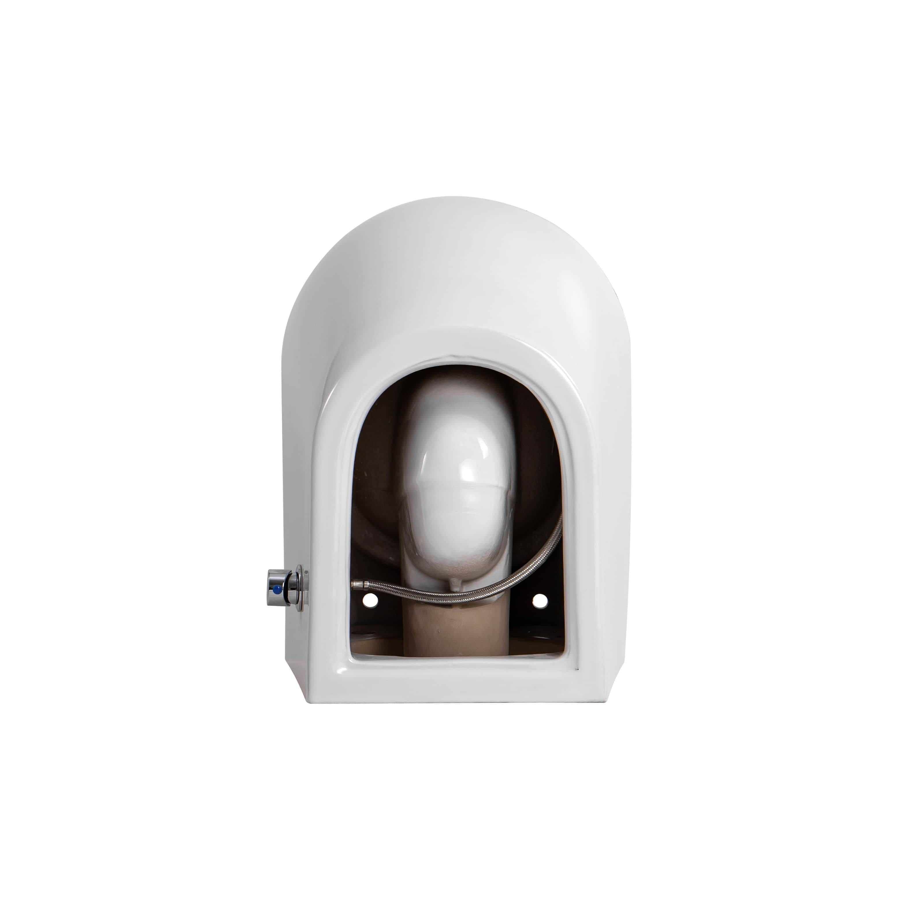 DARLO WC SUSPENDU AVEC BIDET - SANS BRIDE - AVEC ROBINET BIDER EAU FROIDE - SANS ABATTANT - COMPACT 49 CM - BLANC BRILLANT vue 1