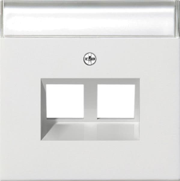 Cache avec sortie oblique 30° et zone d'inscription pour anneau de support jack modulaire 2 x Blanc vue 1