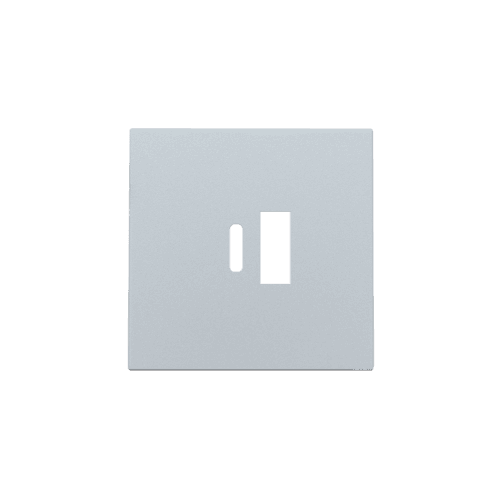 Set de finition pour double chargeur USB-A et USB-C intelligent, couleur sterling coated vue 1