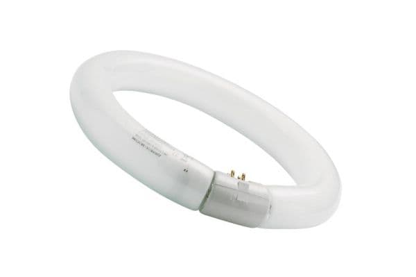 Circline TL T9 32W 840 4000K G10q vue 1