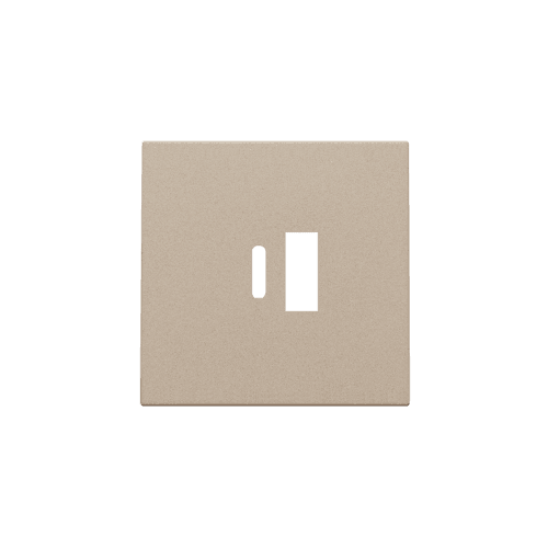 Set de finition pour double chargeur USB-A et USB-C intelligent, couleur champagne coated vue 1