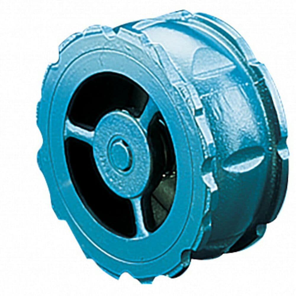 Watts Industries Socla clapet anti-retour 802 150 PN6-10-16-ASA 150 fonte vue 1