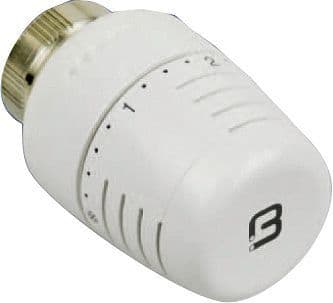 TETE THERMOSTATIQUE 5000 BEGETUBE LIQUIDE M30 BLANC vue 1