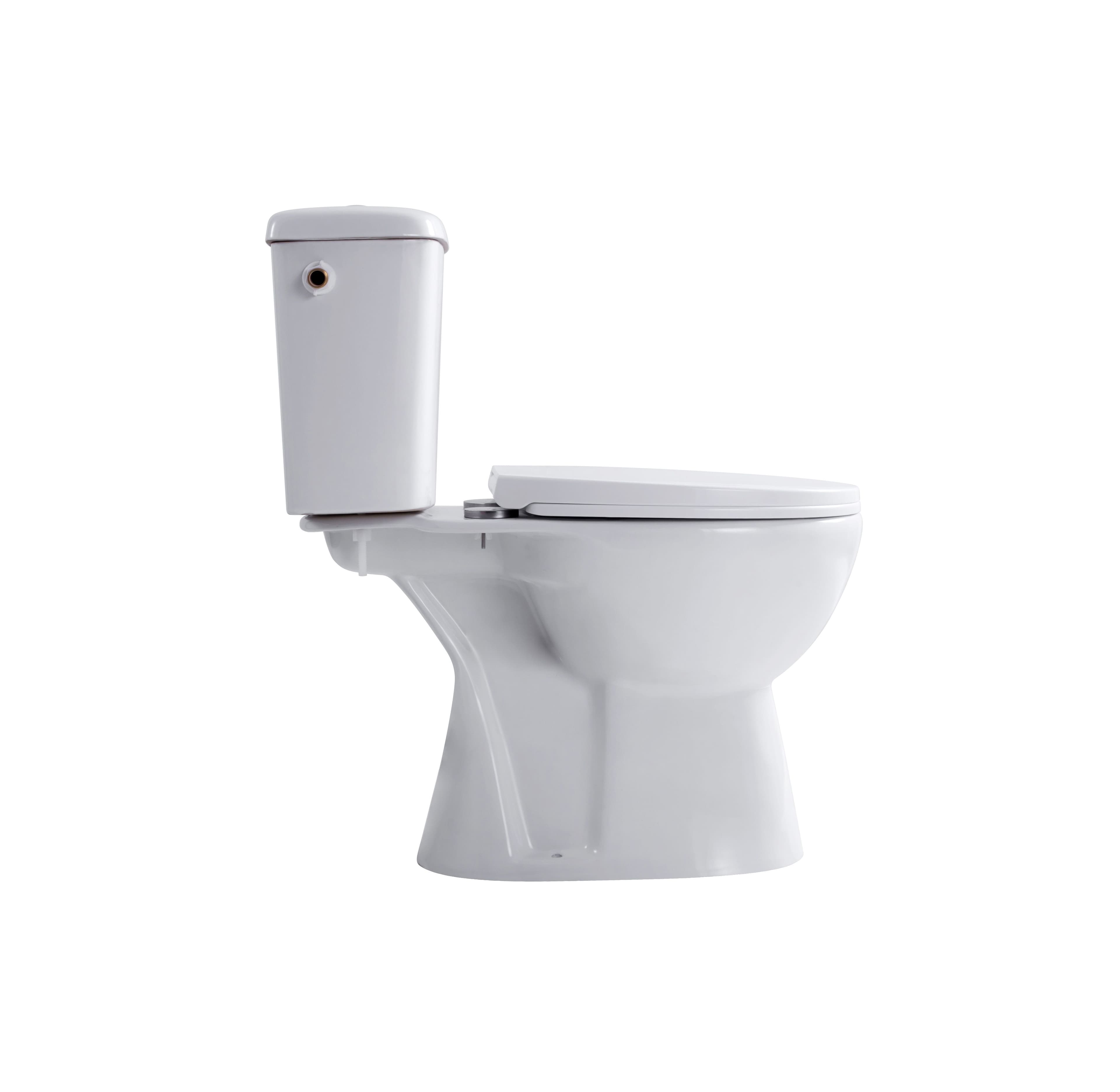 ALONI PRO DUOBLOK - CUVETTE À POSER - SANS BRIDE - S-TRAP - SORTIE VERTICALE - AVEC RÉSERVOIR - AVEC MÉCANISME DE CHASSE 4/6L - DOUBLE CHASSE - AVEC ABATTANT - SOFTCLOSE - QUICK RELEASE - 39X73X67 CM - BLANC vue 1