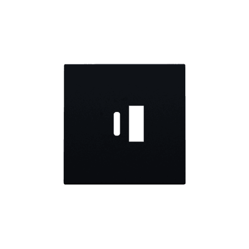 Set de finition pour double chargeur USB-A et USB-C intelligent, couleur black coated vue 1