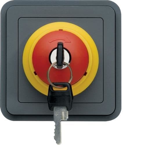 Arrêt d'urgence à clé Cubyko, Gris, 10A - 250V vue 1