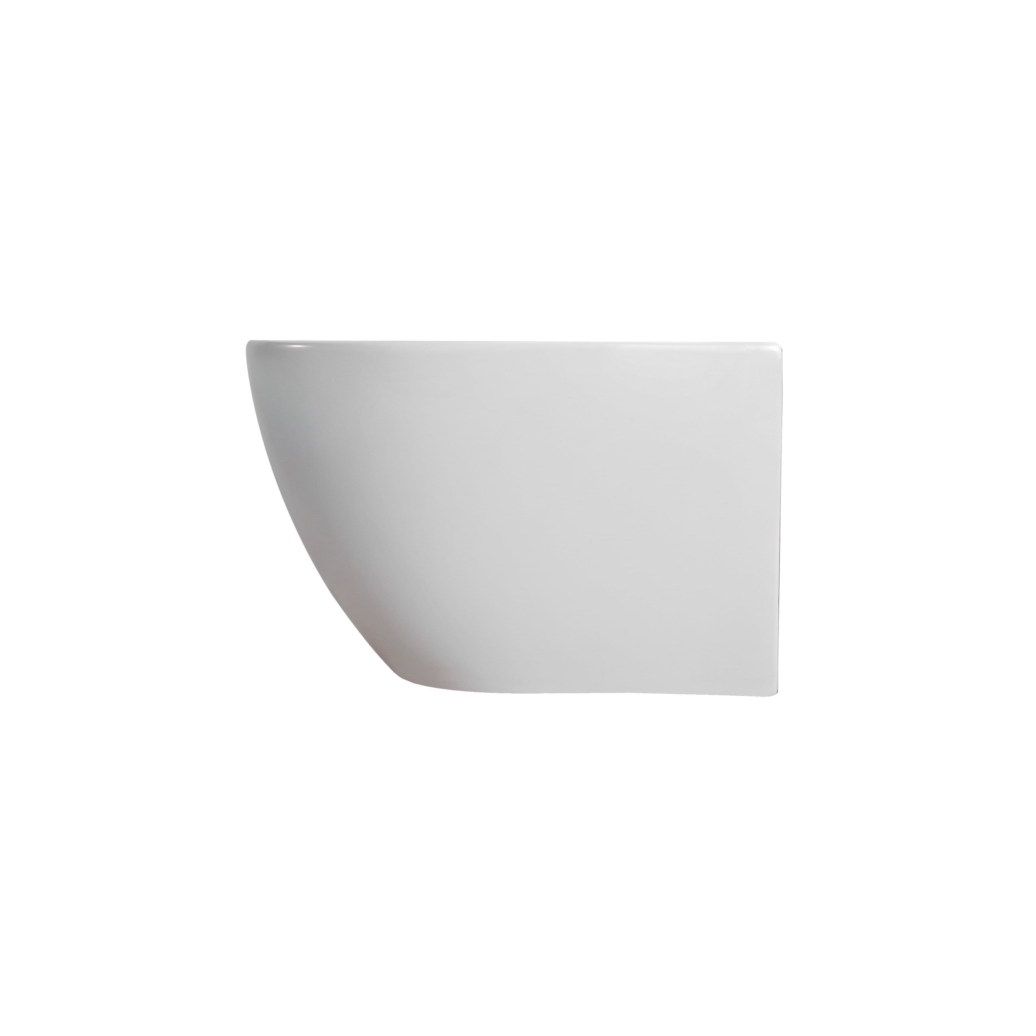 DARLO WC SUSPENDU AVEC BIDET - SANS BRIDE - AVEC ROBINET EAU FROIDE ET CHAUDE - SANS ABATTANT - COMPACT 49 CM - BLANC BRILLANT vue 1