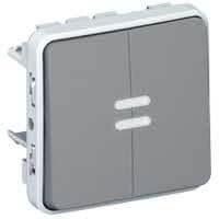 Plexo poussoir double lumineux 10A 250V composable Gris vue 1