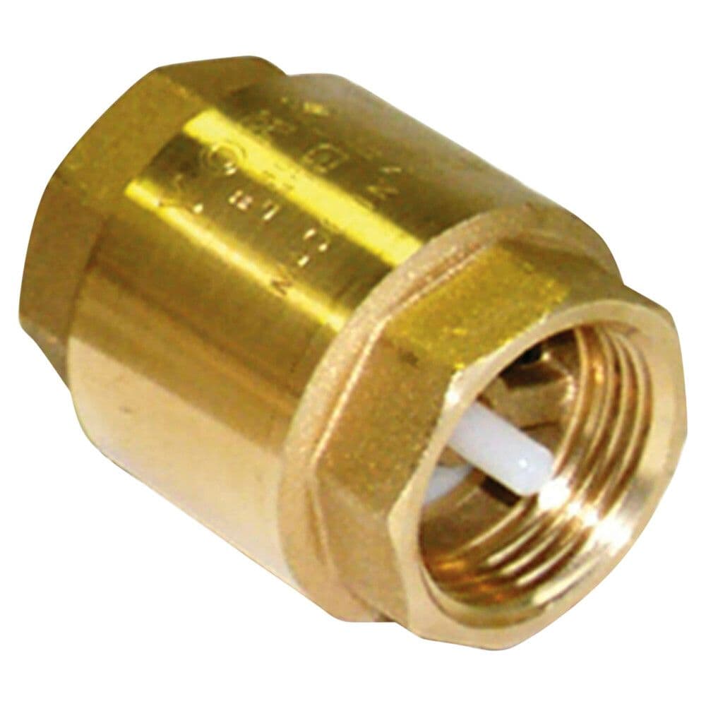 clapet anti-retour DN25 PN12 4/4"F vue 1