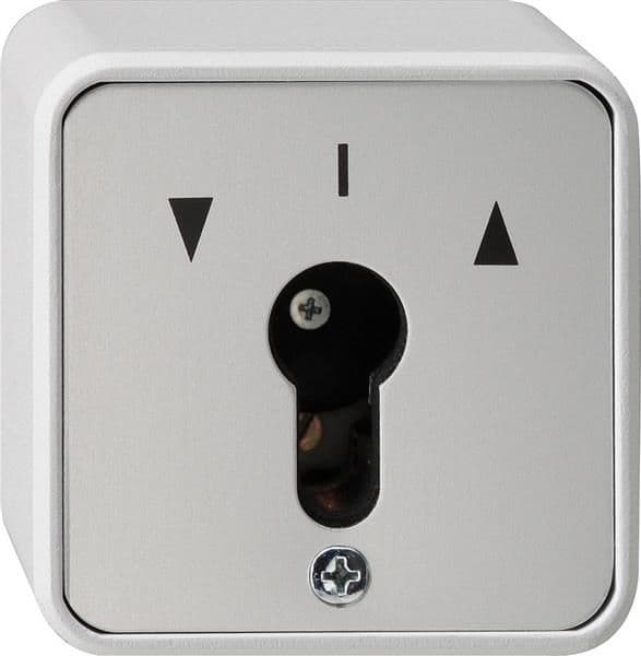 Interrupteur à clé 10 AX 250V~ pour tous les demi-cylindres profilés DIN Gris interrupteur à 2 vue 1
