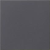 Module rapporté de commande System 3000 Anthracite System 55 vue 1